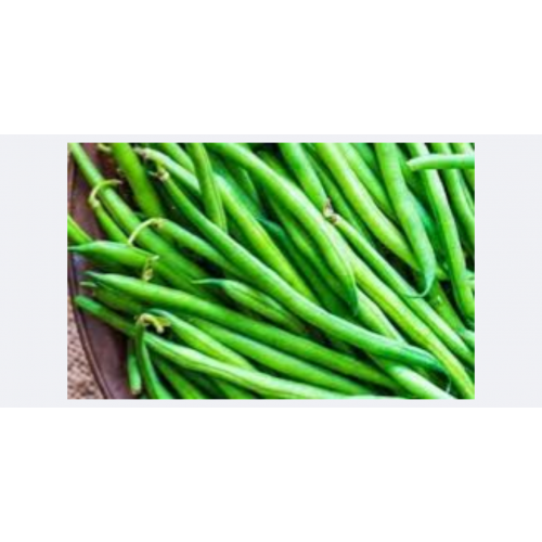 فاصوليا خضراء فلين مفحوض تعاونية الباطين