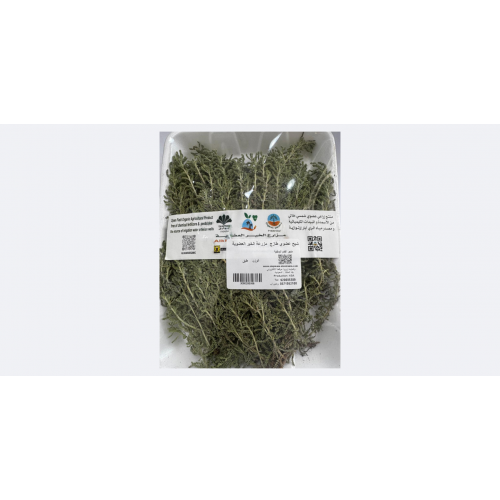 شيح طازج عضوي طبق مزرعه الخير شيح طازج عضوي طبق مزرعه الخير