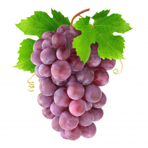 عنب احمر فلين منتج نظيف مفحوص تعاونية الباطين عنب احمر فلين منتج نظيف مفحوص تعاونية الباطين