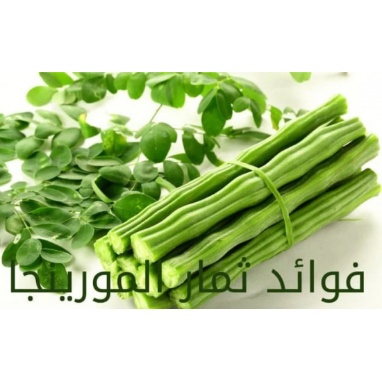 قرون المورينجا الطازجة عضوي 500جم مزرعة بيت الاستنبات قرون المورينجا الطازجة عضوي 500جم مزرعة بيت الاستنبات