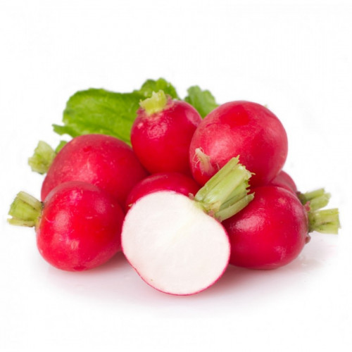 فجل احمر عضوي مزرعة الغذاء الامن فجل احمر عضوي مزرعة الغذاء الامن