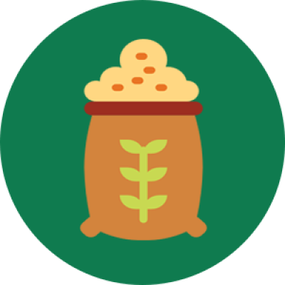  حبوب و بذور