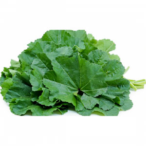 خبيز عضوي طازج 200جم مزرعة السلوى 