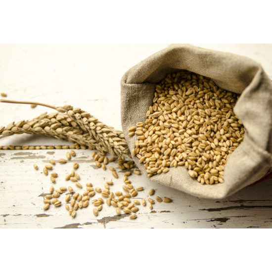 قمح كامل 1كجم طبيعي قمح كامل 1كجم طبيعي