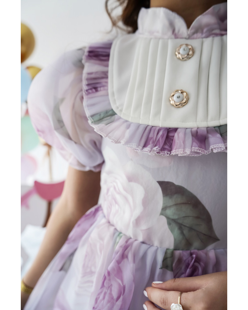 فستان الأميرات أورجانزا مورد قطعة من سحر الخيال - 1020 فستان الأميرات أورجانزا مورد قطعة من سحر الخيال - 1020