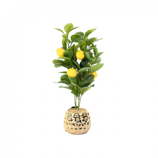 مركن شجر 47 سم مركن شجر 47 سم