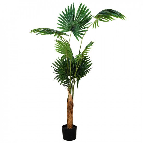 مركن شجر 160 سم