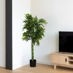 مركن شجر 140 سم