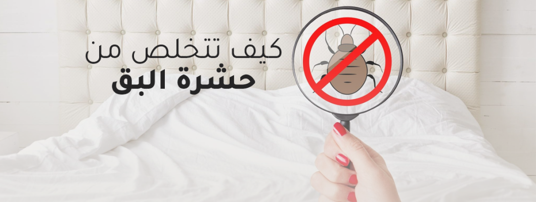 كيف تتخلص من حشرة البق وتحمي نفسك منها