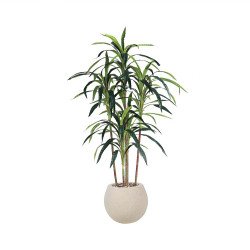 مركن شجر 145 سم