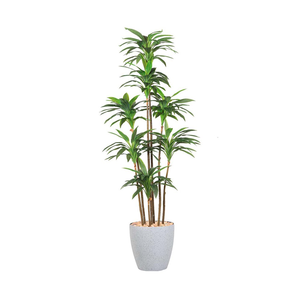 مركن شجر 210 سم