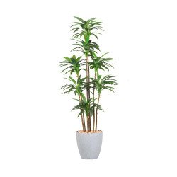 مركن شجر 210 سم