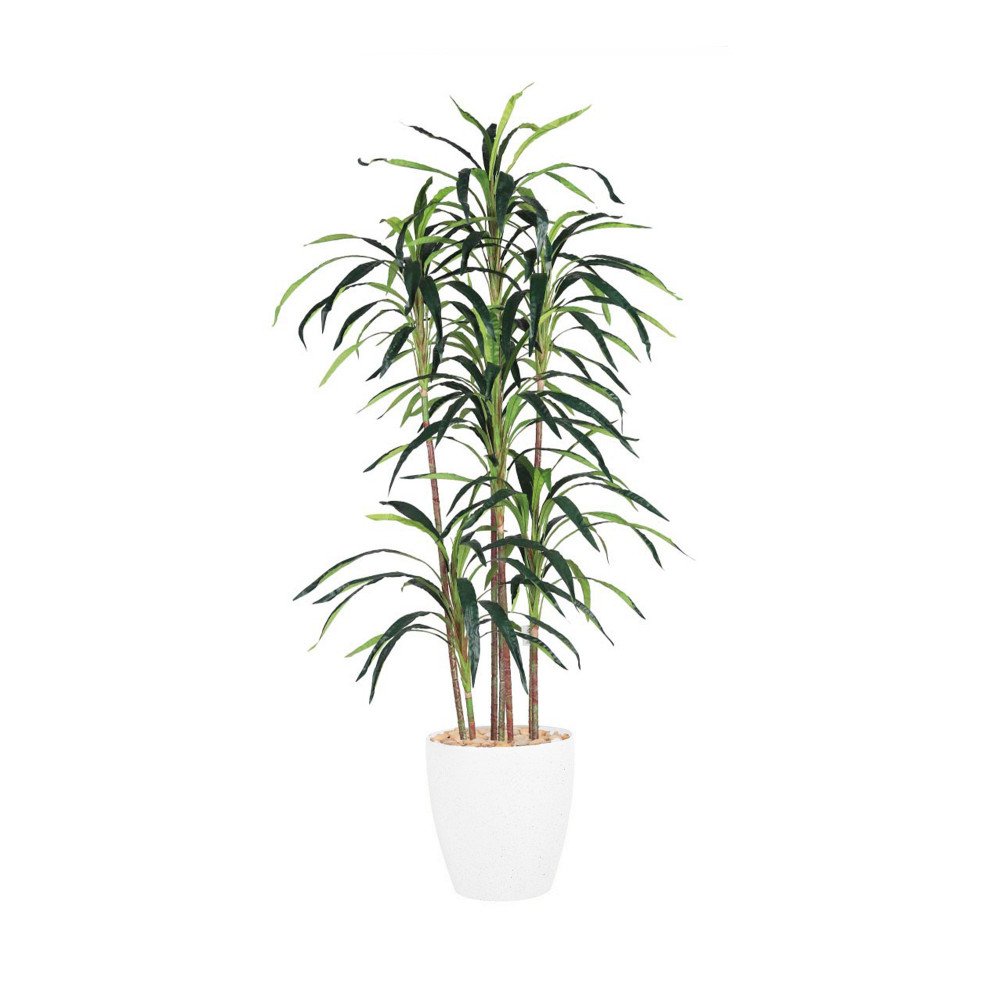 مركن شجر 175 سم