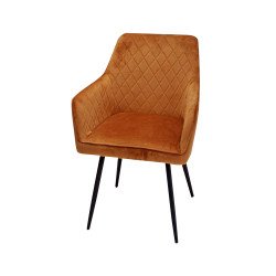 كرسي طاولة طعام مخمل مفرد كرسي طاولة طعام مخمل مفرد