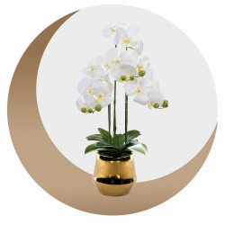 زهور ونباتات صناعية