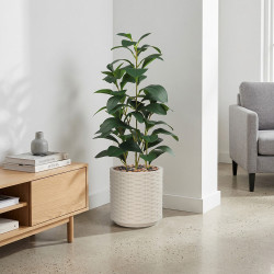 مركن شجر ديكور بتصميم طبيعي 65 سم