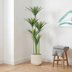 مركن شجر ديكور مداخل تصميم واقعي عصري 210 سم مركن شجر ديكور مداخل تصميم واقعي عصري 210 سم