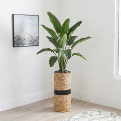 مركن زرع 80*35 سم مركن زرع 80*35 سم