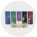 معطرات