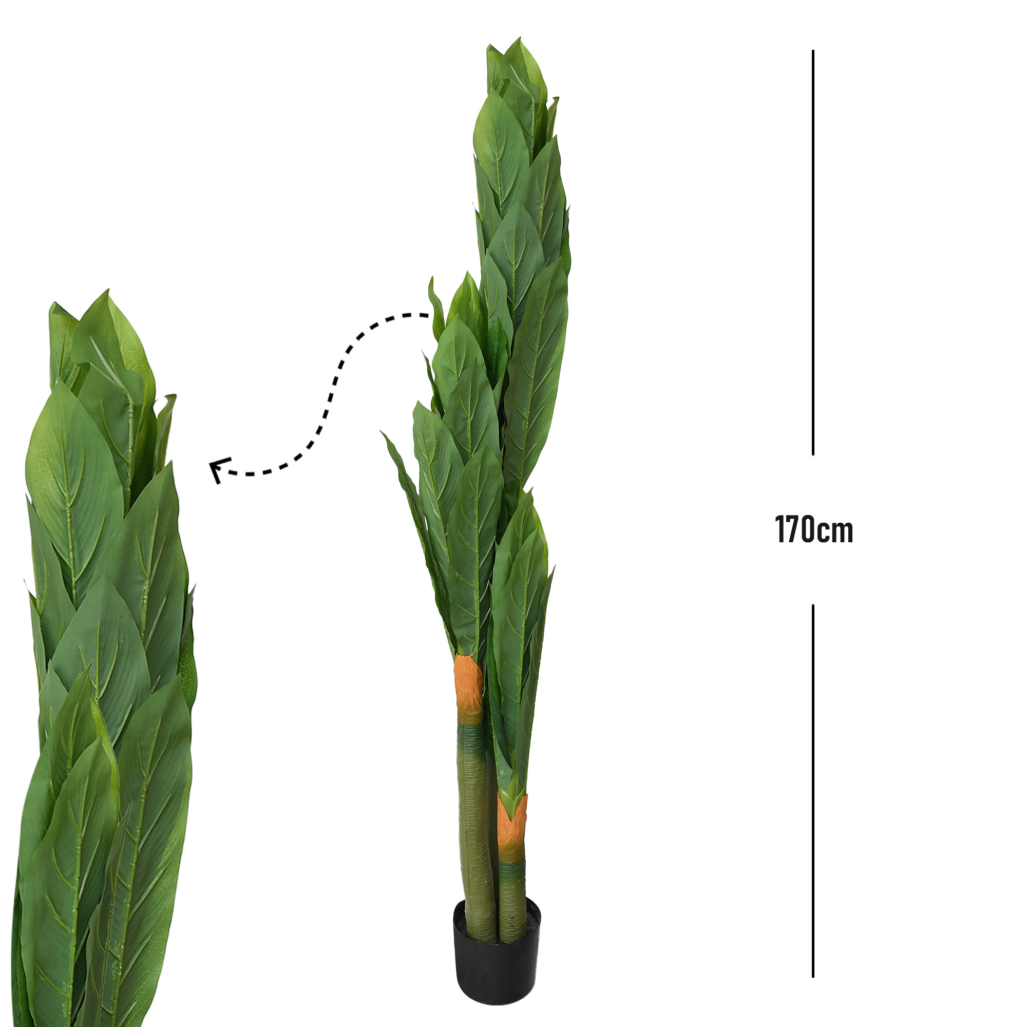 مركن شجر 170 سم