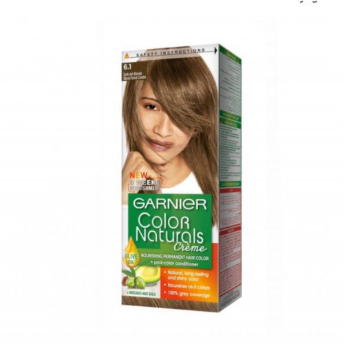 صبغة غارنية اشقر غامق رمادي 6/1