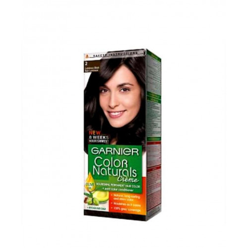 صبغة غارنية اسود لامع 2