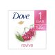 Dove Soap Go Fresh, Revive, Pomegranate Scent, 135g