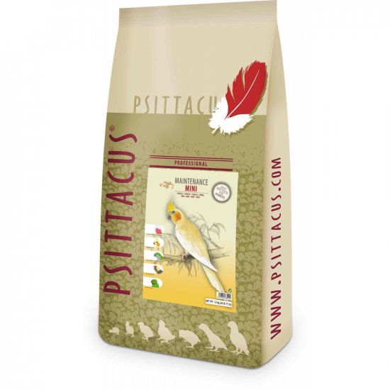 مينتناس ميني