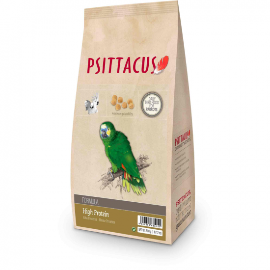 هاي بروتين غذاء