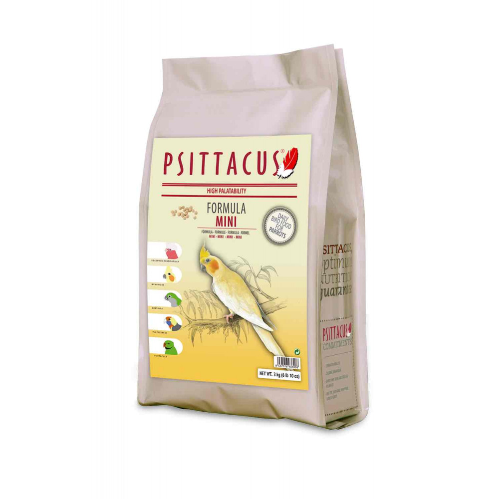 مينى مينتناس 3 كيلو