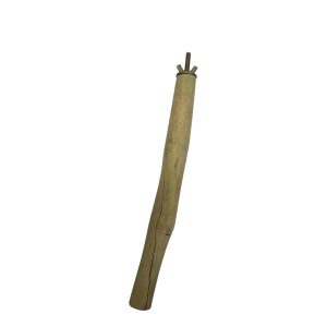 Java wood 25cm