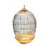 Canary cage