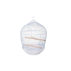 Canary cage