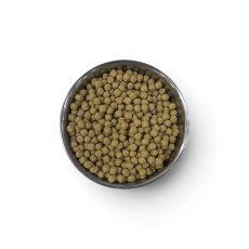 باروت  مينتاناس 250g