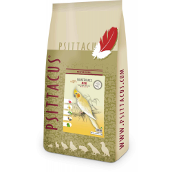 مينتناس ميني