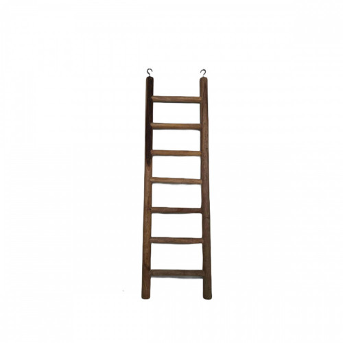 سلم الببغاوات صغير