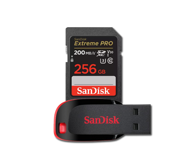 بطاقات الذاكرة