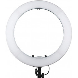 Ring Light LED 18 Inches Dual Color