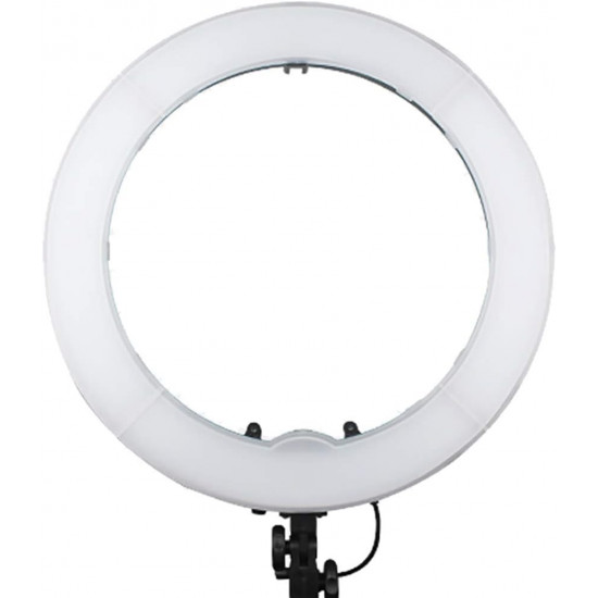 Ring Light LED 18 Inches Dual Color