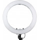 Ring Light LED 18 Inches Dual Color