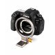 W-82D WIZARD Camera Positioning Bracket for DSLR W-82D WIZARD Camera Positioning Bracket for DSLR