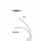 2in1 Card Reader Type-C Lightning to TF/SD Card Micro Camera Reader OTG Adapter Cable 2in1 Card Reader Type-C Lightning to TF/SD Card Micro Camera Reader OTG Adapter Cable