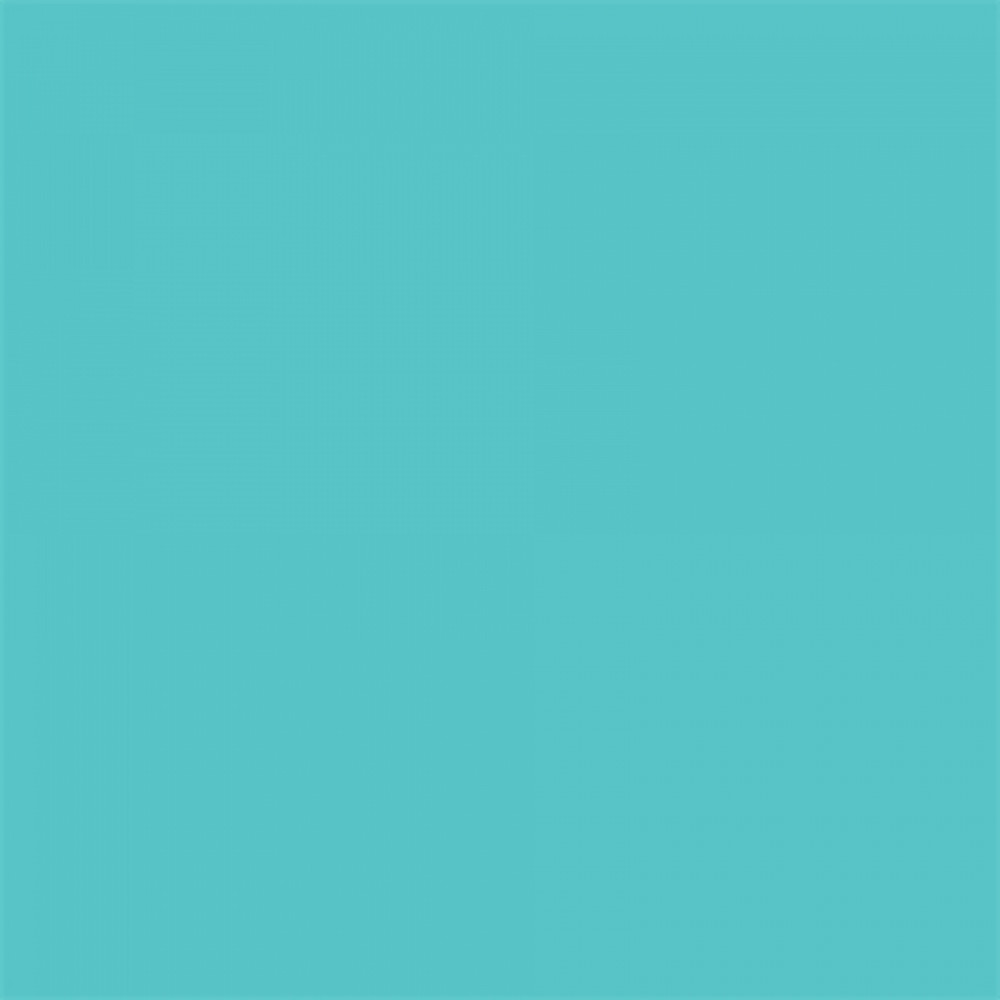 Background Paper Rolls 2.72x11m Alpine