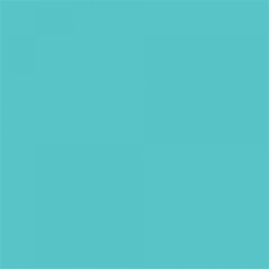 Background Paper Rolls 2.72x11m Alpine