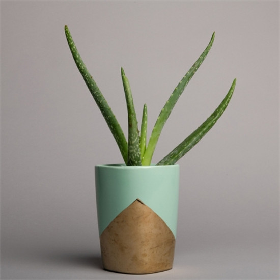 Background Paper Rolls 2.72x11m Slate Gray