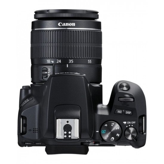 Canon EOS 250D + EF-S 18-55mm f/3.5-5.6 III + EF 75-300mm f/4-5.6 III Double Lens Kit