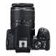Canon EOS 250D + EF-S 18-55mm f/3.5-5.6 III + EF 75-300mm f/4-5.6 III Double Lens Kit