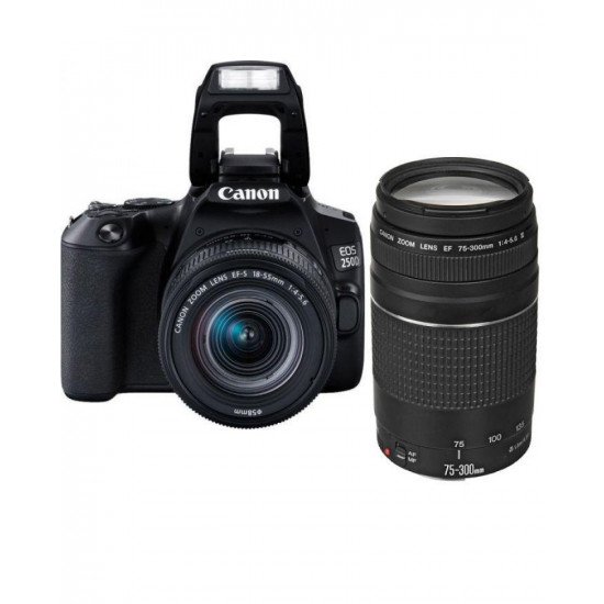 Canon EOS 250D + EF-S 18-55mm f/3.5-5.6 III + EF 75-300mm f/4-5.6 III Double Lens Kit