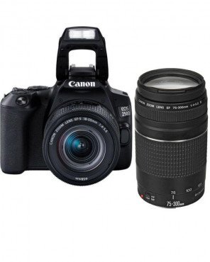 Canon EOS 250D + EF-S 18-55mm f/3.5-5.6 III + EF 75-300mm f/4-5.6 III Double Lens Kit