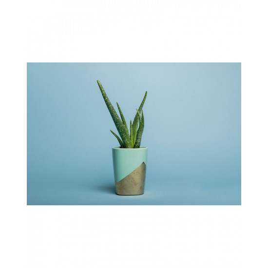 Background Paper Rolls 1.36x11mm Sky Blue